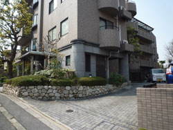 ���{���A�k���̕����}���V�����w�N���E���Y�k���x