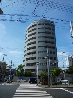 ���{���A�k���̕����}���V�����w���]���k���x