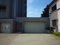 ���{���A�k���̕����}���V�����w���]���k���x