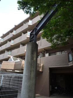 ���{���A���{���̕����}���V�����w���]�����{�쐰���u��Ԋفx