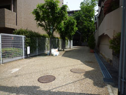 ���{���A���{���̕����}���V�����w���]�����{�쐰���u��Ԋفx