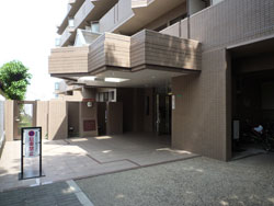 ���{���A���{���̕����}���V�����w���]�����{�쐰���u��Ԋفx