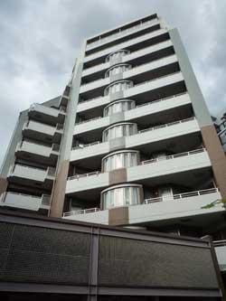 ���{���A�k���̕����}���V�����w�p�����[���k���C�}�W���x