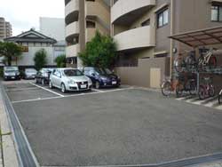 ���{���A�k���̕����}���V�����w�p�����[���k���C�}�W���x