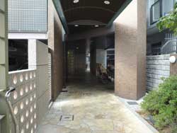 ���{���A�k���̕����}���V�����w�p�����[���k���C�}�W���x