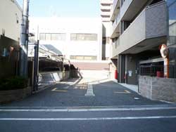 �v���p���X���{�샔�B�A�b�c�@