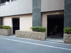 �v���p���X���{�샔�B�A�b�c�@