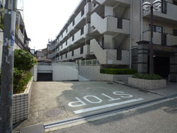 ���{���A�k���̕����}���V�����w���C�I���Y�}���V�����k���x