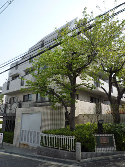 ���{���A�k���̕����}���V�����w���C�I���Y�}���V�����k���x