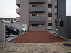 ���{���A�k���̕����}���V�����w���[�x�X�g�k���x