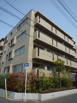 ���{���A�k���̕����}���V�����w���W���}���k���x