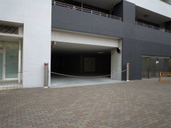 �T���N�^�X���{��U�E�v���~�A