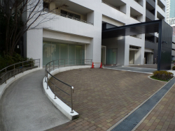 �T���N�^�X���{��U�E�v���~�A