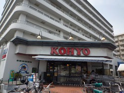 ���{���A����̕����}���V�����w�T���n�C����ˎR�x