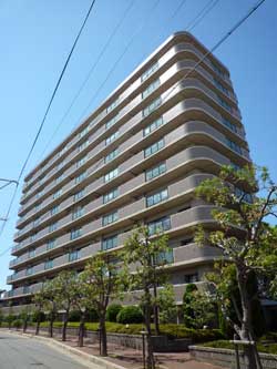 ���{���A�����ʂ̕����}���V�����w�T�����F�[�����{�쐰���u�x