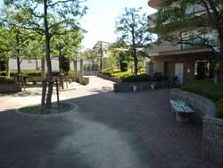 ���{���A�����ʂ̕����}���V�����w�T�����F�[�����{�쐰���u�x