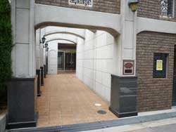 ���{���A�k���̕����}���V�����w�Z���b�\�R�[�g�k���x