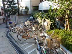 ���{���A��ˎR�̕����}���V�����w�Z�U�[����ˎR�K�[�f���x