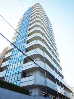 �V�I�����{��