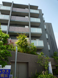 ���{���A���{���̕����}���V�����w�V�e�B�n�E�X���{�쐰���u�x