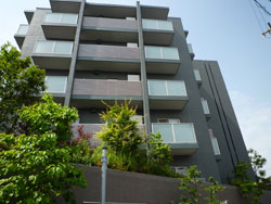 ���{���A���{���̕����}���V�����w�V�e�B�n�E�X���{�쐰���u�x