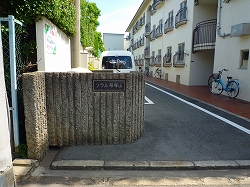 ���{���A�k���̕����}���V�����w�X�e�C�c���{�쐰���u�x�\������ˎR