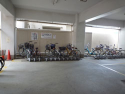 ���{���A�k���̕����}���V�����w�g�[�J���}���V������ˎR�x