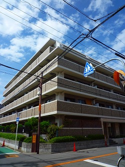 ���{���A�k���̕����}���V�����w���}�h�G���A���X�k���x