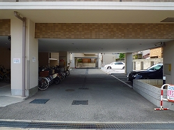 ���{���A�k���̕����}���V�����w���}�h�G���A���X�k���x