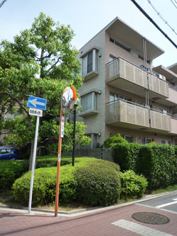 ���{���A���{���̕����}���V�����w���}�h�G���A���X���{�쐰���u�x