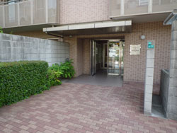 ���{���A���{���̕����}���V�����w���}�h�G���A���X���{�쐰���u�x