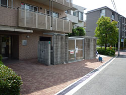 ���{���A���{���̕����}���V�����w���}�h�G���A���X���{�쐰���u�x