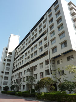 �Z�V�]��A��`���̕����}���V�����w��`�R�[�v�������x