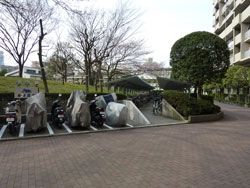 �Z�V�]��A��`���̕����}���V�����w�G�o�[�O���[����`�|�[�g�^�E���x