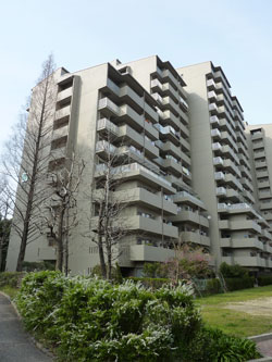 �Z�V�]��A��`���̕����}���V�����w�G�o�[�O���[����`�|�[�g�^�E���x