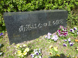 ��`�͂Ȃ̂܂��Z��