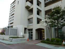 �Z�V�]��A��`���̕����}���V�����w�����ߑ��R�[�|�x