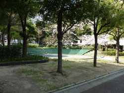 �Z�V�]��A��`���̕����}���V�����w�����ߑ��R�[�|�x