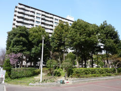 �Z�V�]��A��`���̕����}���V�����w�����ߑ��R�[�|�x