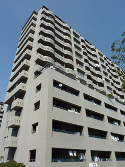 �Z�V�]��A��`���̕����}���V�����w�����ߑ��R�[�|�x