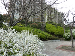 �Z�V�]��A��`���̕����}���V�����w�ߓS��`�K�[�f���n�C�c�x