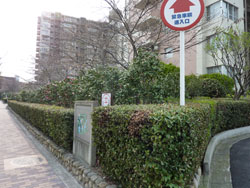 �Z�V�]��A��`���̕����}���V�����w�ߓS��`�K�[�f���n�C�c�x