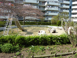 �Z�V�]��A��`���̕����}���V�����w��`�R�[�v�������x