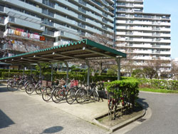 �Z�V�]��A��`���̕����}���V�����w��`�R�[�v�������x