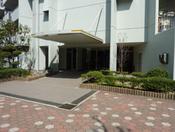 �Z�V�]��A��`���̕����}���V�����w��`�t���[�����n�C�c�x