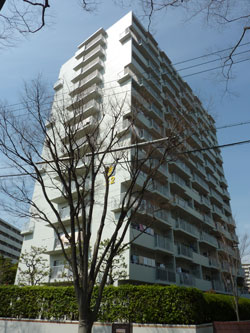 �Z�V�]��A��`���̕����}���V�����w��`�t���[�����n�C�c�x