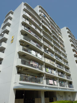 �Z�V�]��A��`���̕����}���V�����w���}�����n�C�c�x