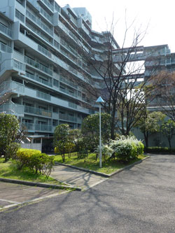 �Z�V�]��A��`���̕����}���V�����w��`�|�[�g�^�E���������x