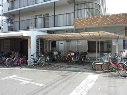 �A�C�r�[�n�C�c�݂̗�