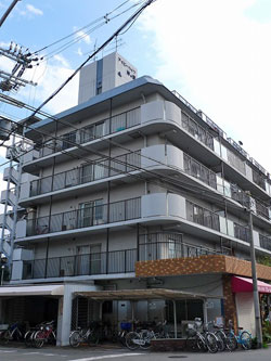 �A�C�r�[�n�C�c�݂̗�